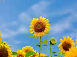 76岁的我抗肺癌2年了，5点治疗心得体会希望帮助大家抗癌之路走得更顺