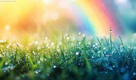 70天肺癌转移灶全部消失，我打赢了这场抗癌翻身仗！