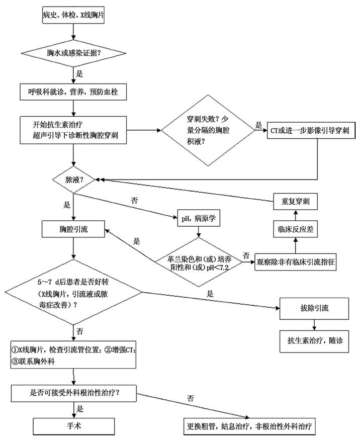 胸腔感染.JPG