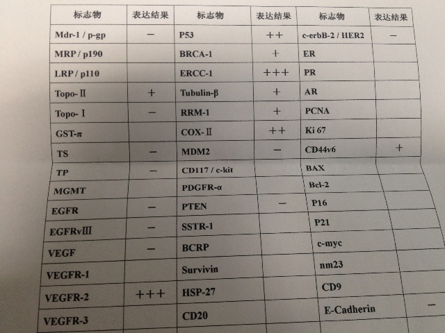 免疫组化1