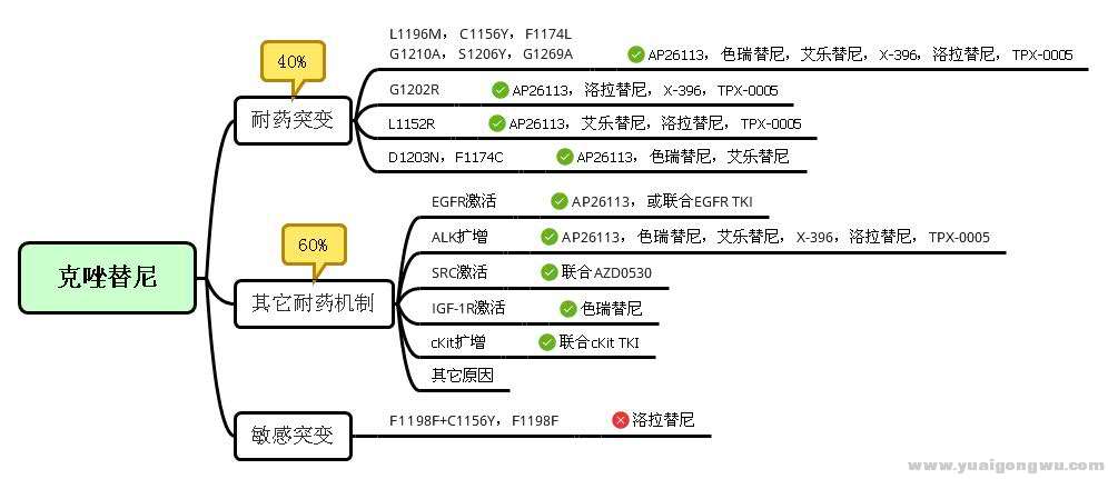 克树状图.jpg