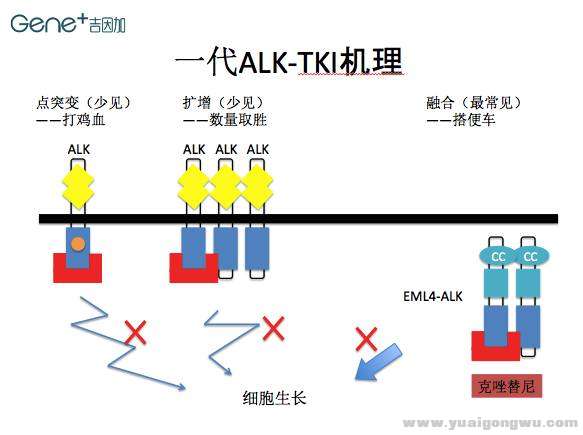 微信图片_20170702084446.jpg